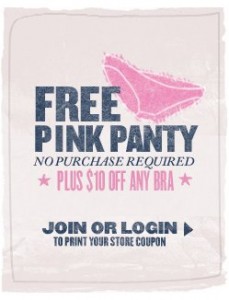 free-pink-panty