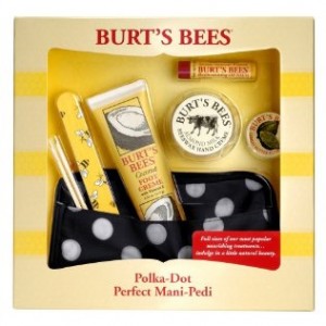 burts-bee-kit