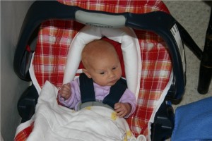 mary-carseat-cover mary-carseat-cover