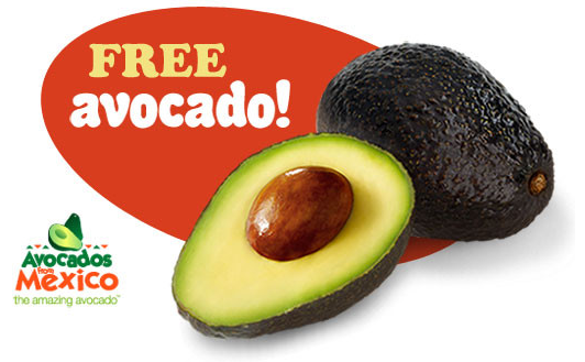 free avocado coupon