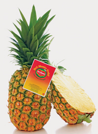 Del Monte Gold Pineapple printable coupon