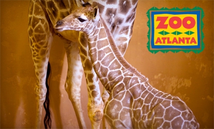 zoo atlanta deal