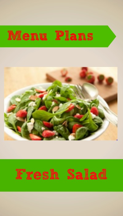 weight watchers menu plan fresh salad