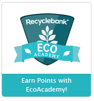recyclebank eco academy 