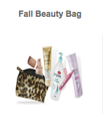 Target Fall Beauty Bag