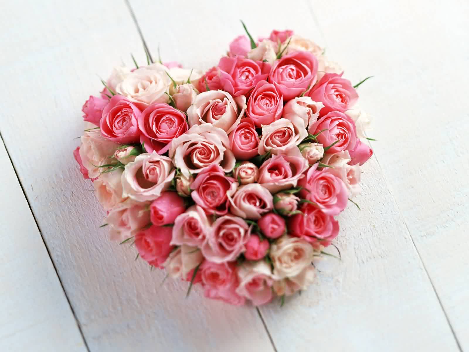 Valentine's Day Heart Rose