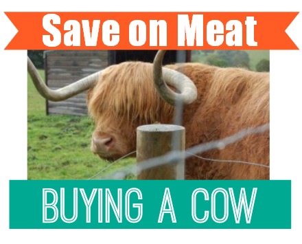 Save money on meat by buying a cow.  Frugal living and couponing!