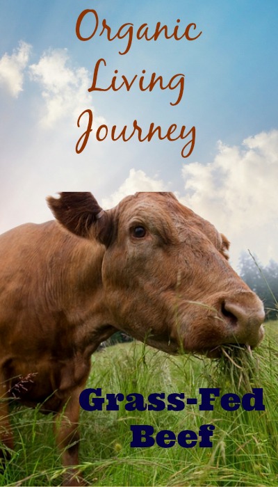 organic living journey grass fed beef