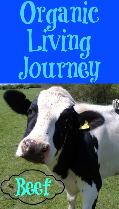 organic living journey beef