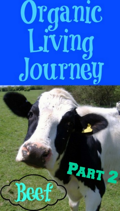 organic living journey beef part 2