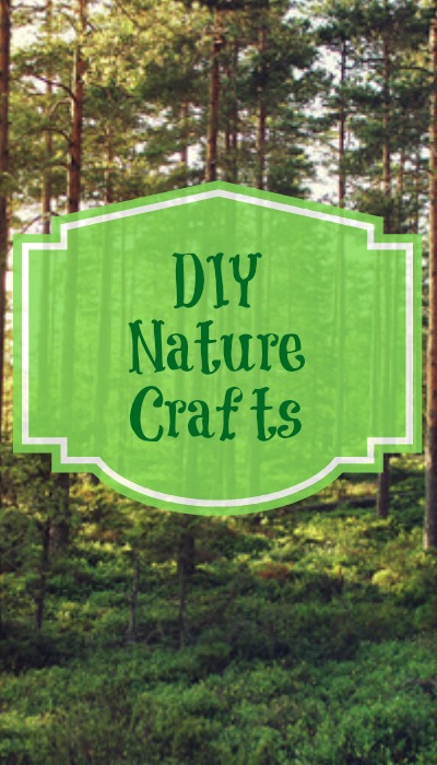DIY Nature Crafts :: Southern Savers