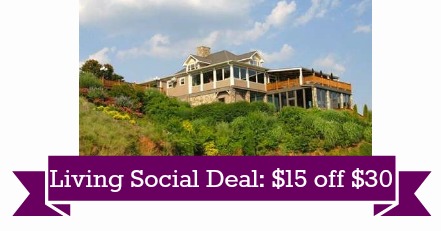 Living Social Coupon $15 off $30 - Southern Savers
