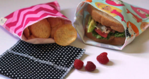 eco-friendly lunch bags