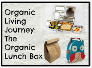 Organic Lunch Box
