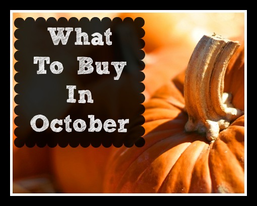 A complete guide on what to buy in October! 