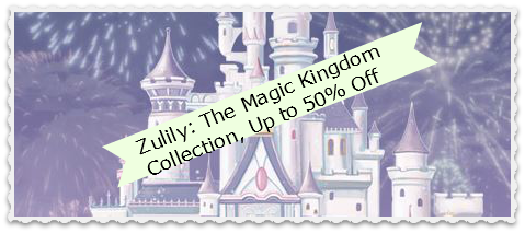 zulily disney magic kingdom