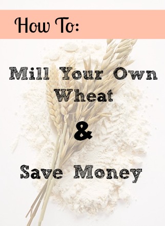 How to Mill Your Own Wheat & Save Money Doing It!