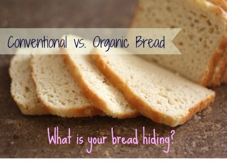 organic bread ingredients