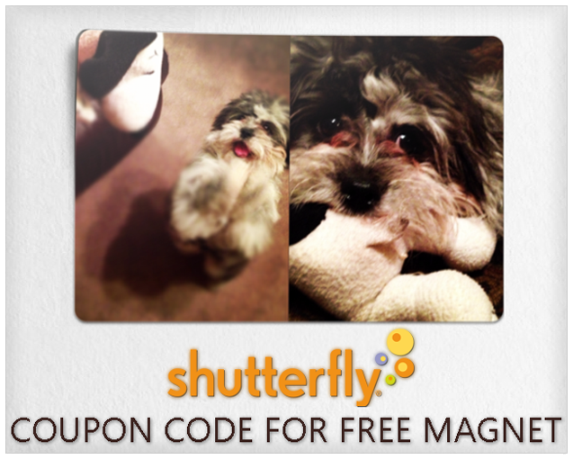 shutterfly coupon code photo magnet copy