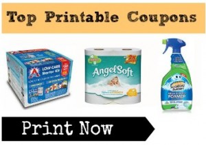 Angel Soft Coupons