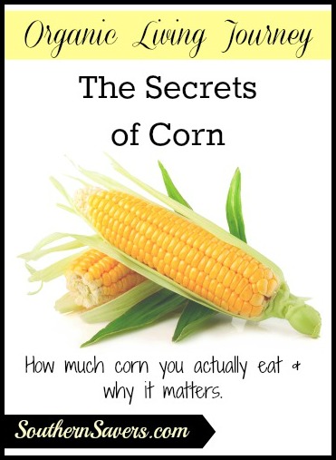 The Secrets of Corn