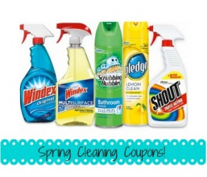 Spring Cleaning Coupons