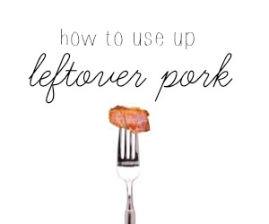 Recycle your leftover pork into these yummy leftover pork recipes!