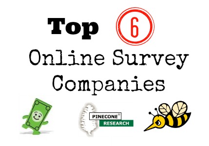 top 6 online survey companies