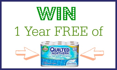 Win a 1 year supply of Quilted Northern bath tissue.