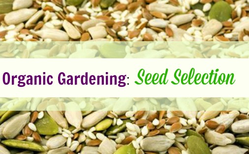 seed selection