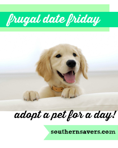 Here's a frugal date idea for you and your loved one: adopt a pet for a day!