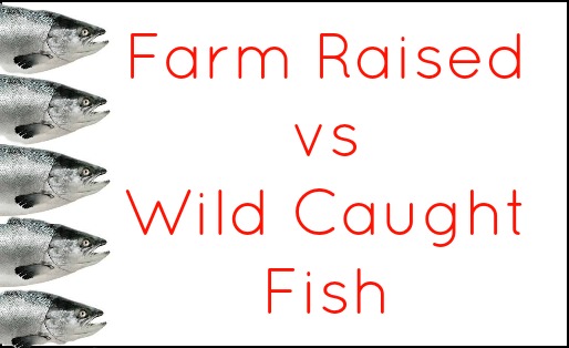 Farm Raised vs Wild Caught Fish on Organic Living Journey