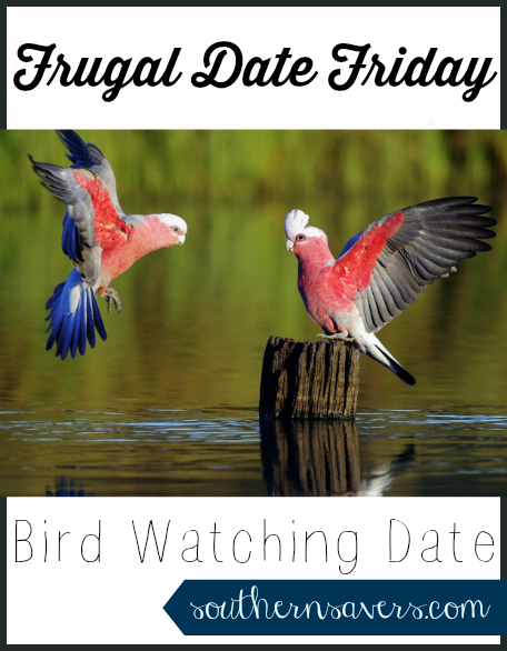 bird watching date
