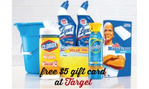 cleaning supplies at target
