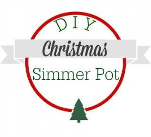 DIY Christmas Simmer Pot Recipes