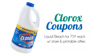 clorox bleach 75 at publix