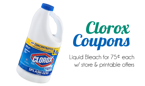 clorox bleach 75 at publix