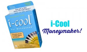 i-cool moneymaker