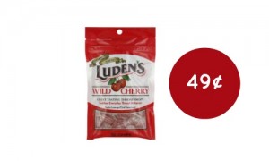 luden coupon