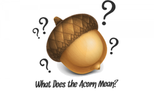 what does the acorn mean