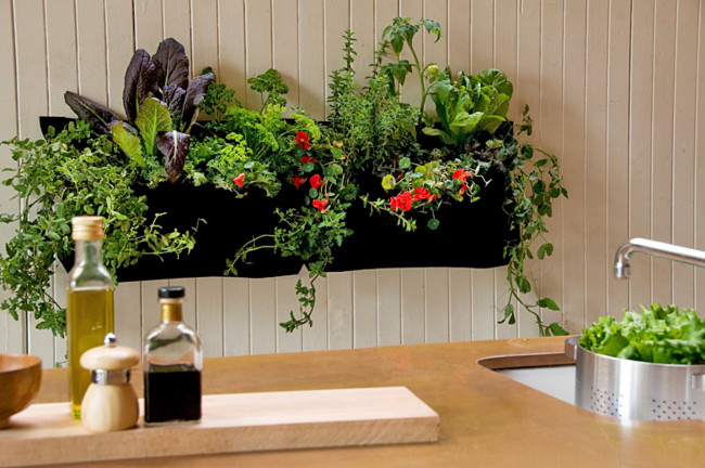 indoor-container-gardening