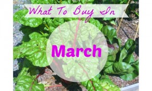 march trends