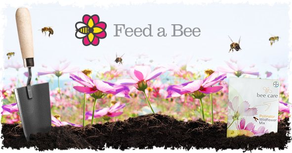 feed a bee