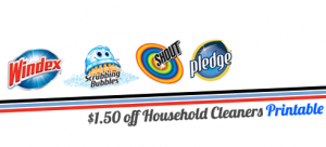 household cleaners coupon