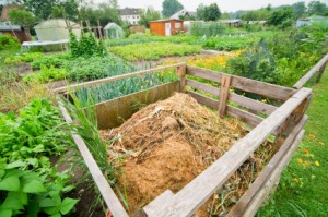 outdoor_compost_bin