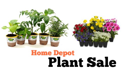 home depot plant sale
