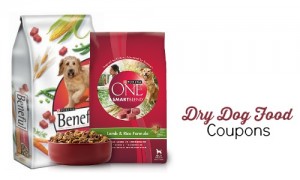 purina dry dog food coupons