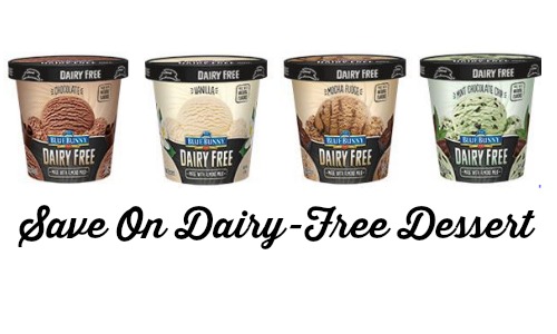 dairy free dessert