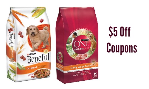 dog food coupon