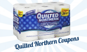 quilted northern coupons
